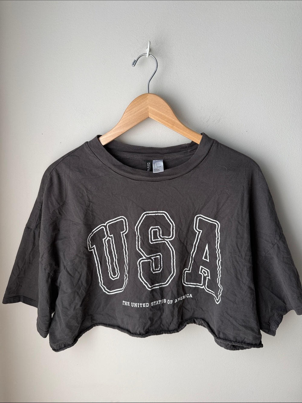 H&M Divided USA Graphic Ultra Cropped Oversized Raw Hem T-Shirt